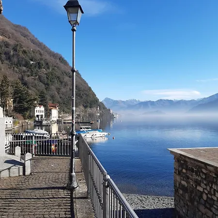 Dream آرجينيو